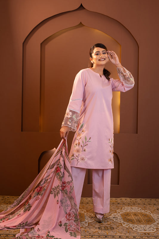 Gulabi Noor - Blush Pink Embroidered Kurta Set with Dupatta